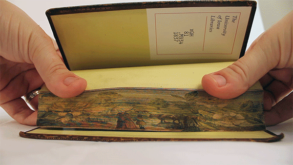 Encontradas pinturas do século XIX ocultas na face lateral das páginas de um livro