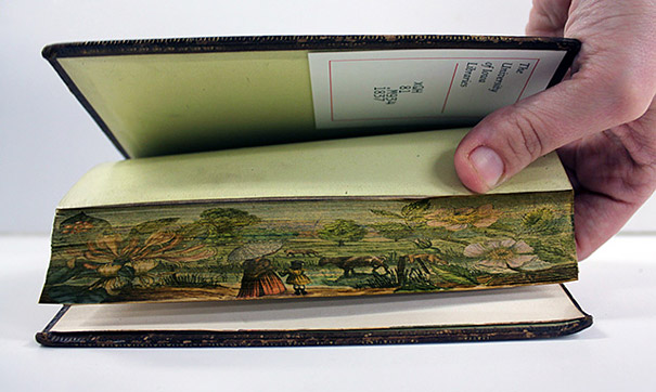 Encontradas pinturas do século XIX ocultas na face lateral das páginas de um livro