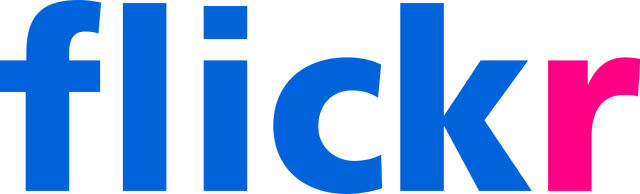 Por que Flickr omite a letra «e» em seu nome?