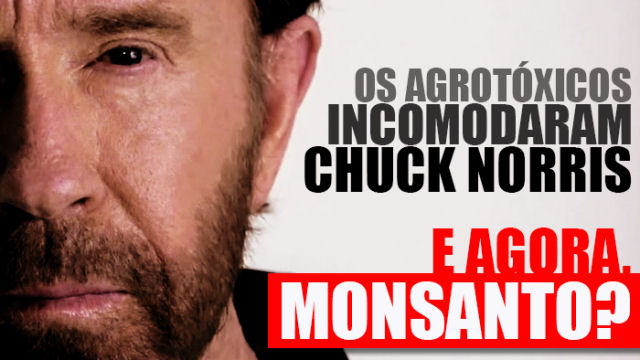 Chuck Norris tem um novo inimigo: Monsanto