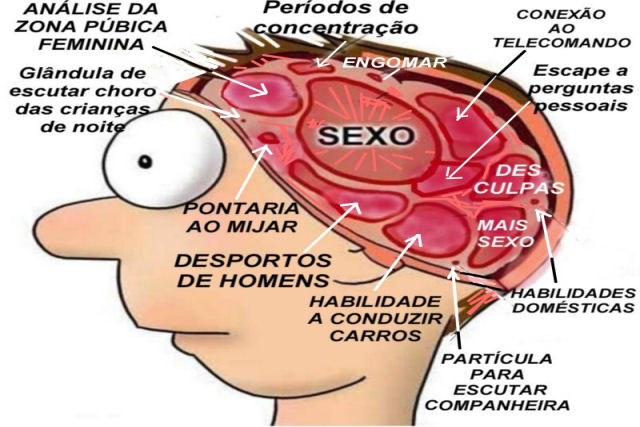 Cientistas dizem que pornografia causa a perda de memória e outra coisa que não me lembro agora