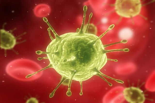 Cientistas apresentam vacina que destruiu um vírus equivalente ao HIV em macacos