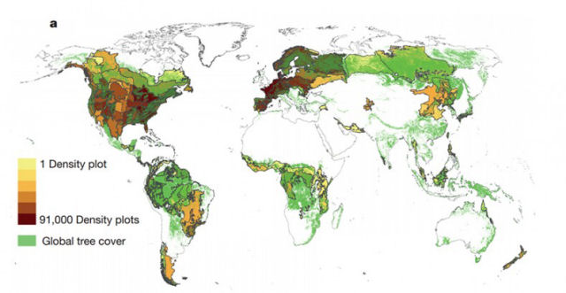 A Terra perdeu a metade de suas árvores desde que há humanos