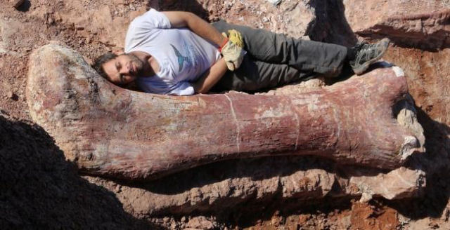 Paleontologistas descobrem o maior dinossauro do mundo na Argentina