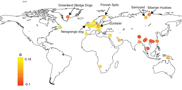 Ces foram domesticados em ambos extremos do velho mundo