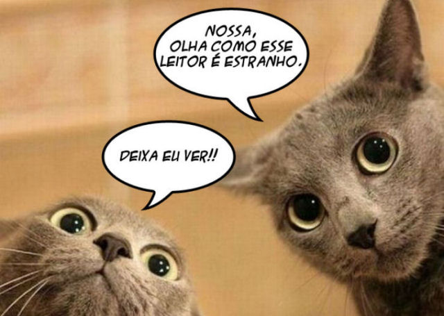 Toxo, o parasita nos gatos que controla tua mente