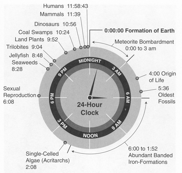 Origem e evoluo da vida, em 24 horas