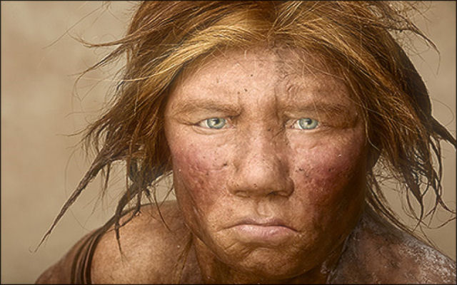 Os Neandertais eram mais promscuos