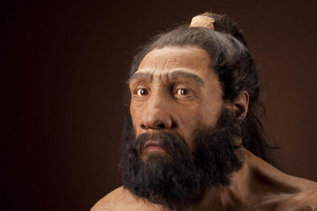 Descobrem uma evidncia de que os neandertais sim sabiam fazer fogo