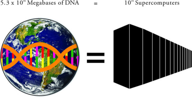 Quanto DNA contm a Terra?