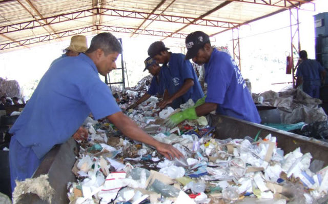A reciclagem de papel  realmente uma atividade ecologicamente correta?