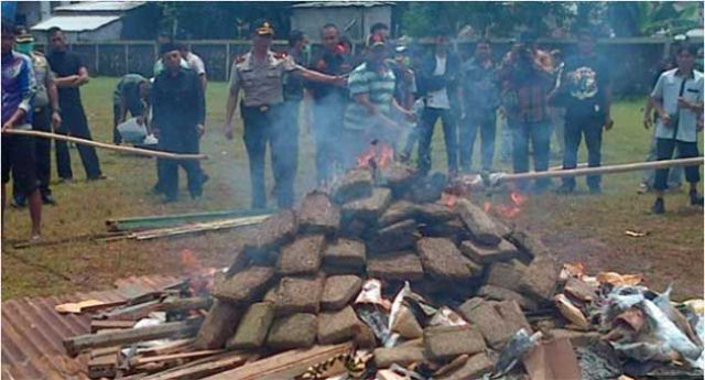 Polcia da Indonsia queima 3 toneladas de maconha e deixa todo mundo fumado