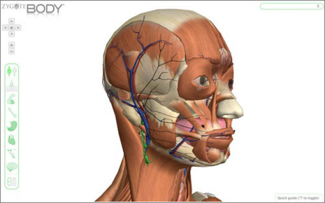 O visor 3D do corpo humano de Google volta como Zygote Body