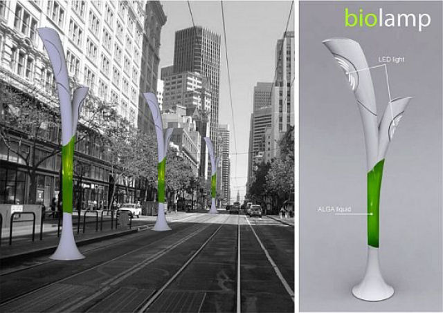 Biolamp converte o ar contaminado em biodiesel