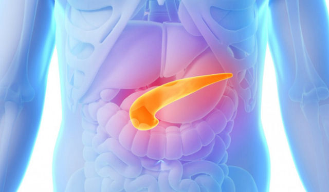 Pncreas artificial pode ser o seguinte passo no tratamento da diabetes tipo 1