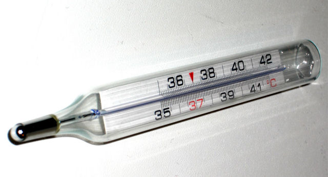 A temperatura ideal do corpo humano