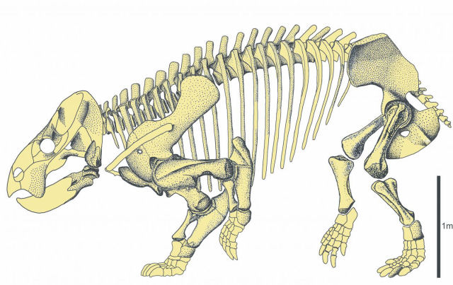 Descobrem um muito antigo ancestral do ser humano que tinha o tamanho de um elefante