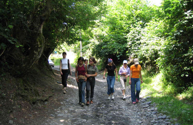 Por que sair para caminhar com seus amigos no parque  o melhor que voc pode fazer para sua sade