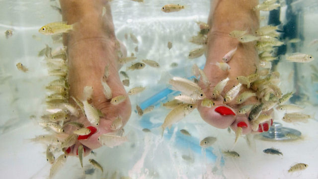 Jovem perde todas as unhas dos ps depois de se submeter a uma pedicure com peixes